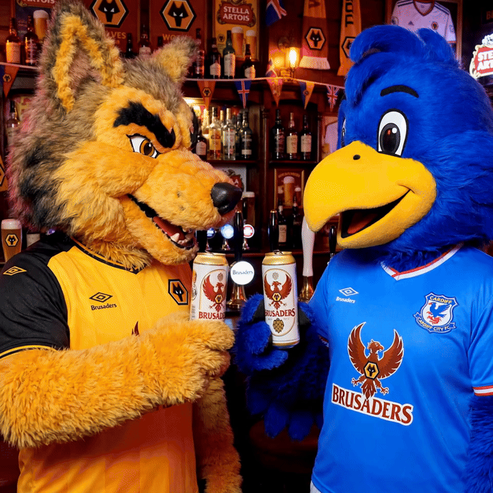 wolfie and bird with a beer